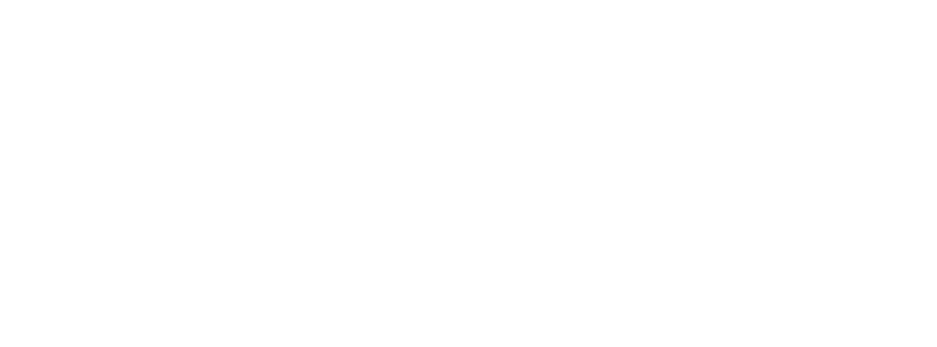 Visionary Logo